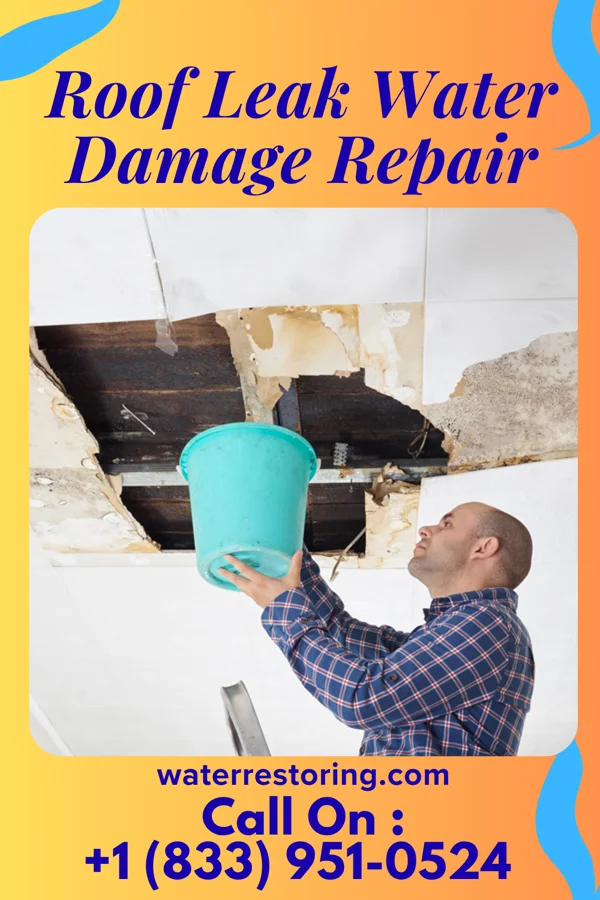 Roof Leak Water Damage Repair in Wheatland, IA